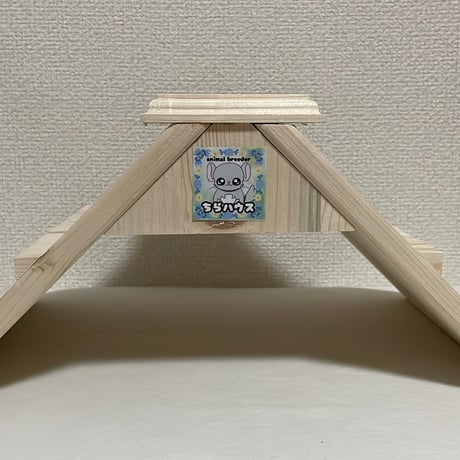 チンチラ | STORES