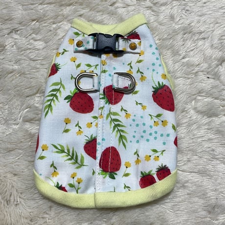 ミーアキャット | STORES