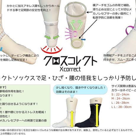 クロスコレクトソックス（白）