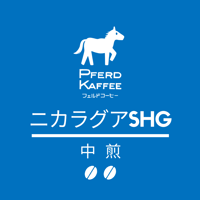 ニカラグアSHG（中煎）/100g