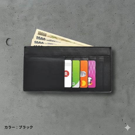 Sweeping〈スウィーピング〉フラグメントケース L  4M2-1149