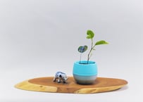 天然木花台 天然木花台・飾り台 NO．4 一位の天然木 | gotafeeling's STORE