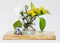 天然木　花台❤️ yoshisawa様専用 天然木花台・飾り台 シナの天然木 | iichi 日々