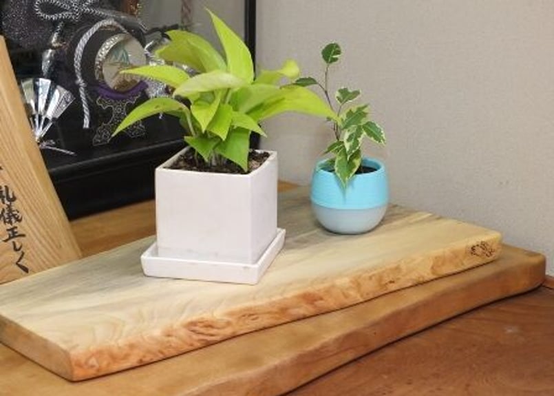 天然木花台 天然木花台・飾り台 No.11シナの天然木 | gotafeeling's STORE