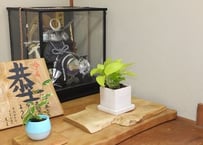 天然木花台・飾り台 NO．4 一位の天然木 | gotafeeling's STORE