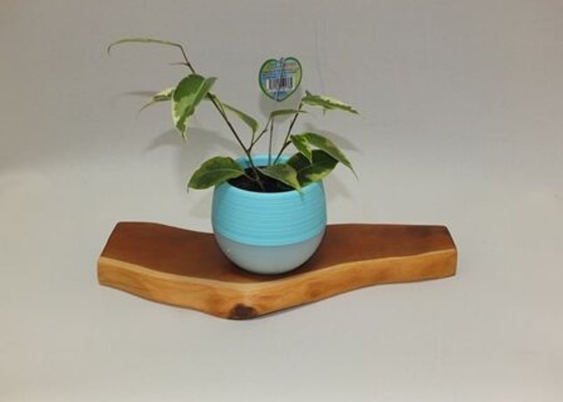 天然木 木製 飾り台(飾台)観葉植物 39cm×36cm×H38cm プランター 天然木 木製 飾り台(飾台)観葉植物 39cm×36cm×H38cm プランター 天然