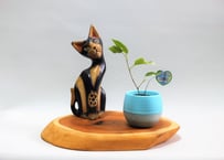 天然木花台・飾り台 NO．4 一位の天然木 | gotafeeling's STORE