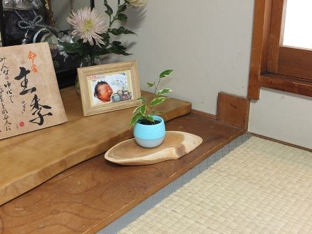 天然木花台・飾り台 NO．1 一位の斜め輪切り | gotafeeling's