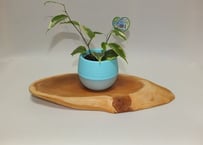 天然木花台・飾り台 NO．4 一位の天然木 | gotafeeling's STORE