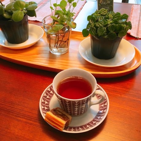 【5月 3日（日）】チャネリングお茶会（定員7名様）