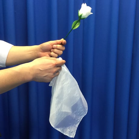 ▲廃盤▲UGM▲レア▲フルーツ▲ボールアラマ▲マジック▲手品▲ CATEGORY クロースアップ | UGMオンラインショップ