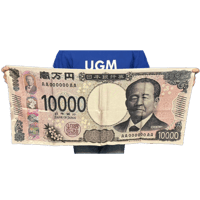 新一万円札シルク 大（ポリエステル）
