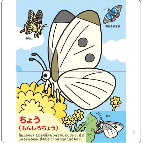 のびのび博士の昆虫へんしんパタパタシアター