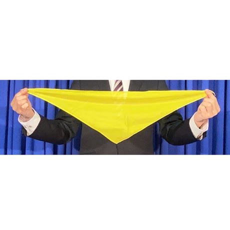 三角シルク（45cm）