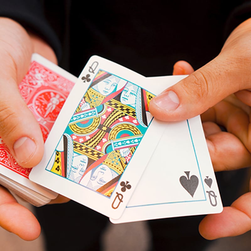 Bicycle トランプセット　カードガード　ギャフデック付き Bicycle トランプセット カードガード ギャフデック付き カード