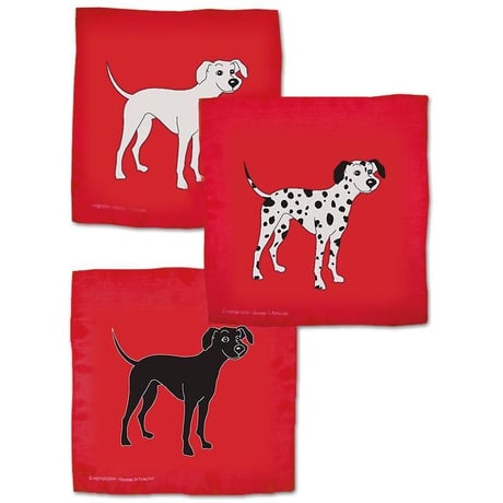 シルクマジック | STORES