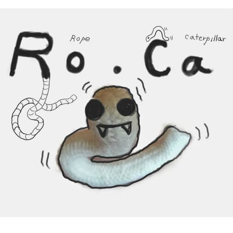 ROCA（ロカ）