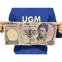 新五千円札シルク 小（ポリエステル）