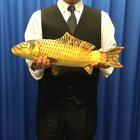 アピアリングフィッシュ（中）