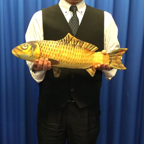 アピアリングフィッシュ（中）