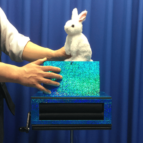 UGMローラーうさぎ