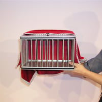 シルバーダブケージ