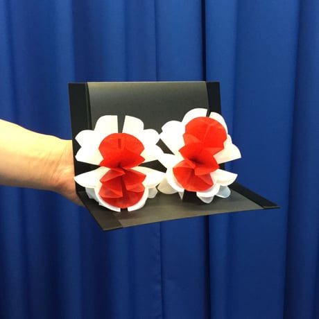 ▲廃盤▲UGM▲レア▲フルーツ▲ボールアラマ▲マジック▲手品▲ Amazon | はらぺこあおむし おっきなボール 15cm | ベビー用ボール