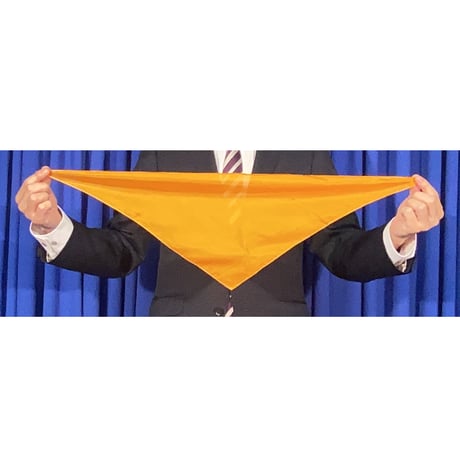 三角シルク（45cm）
