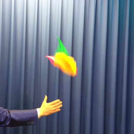 チャーミングフラワー