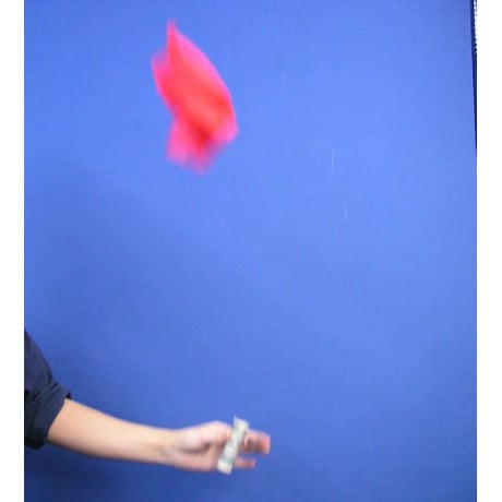 シルキーブーム