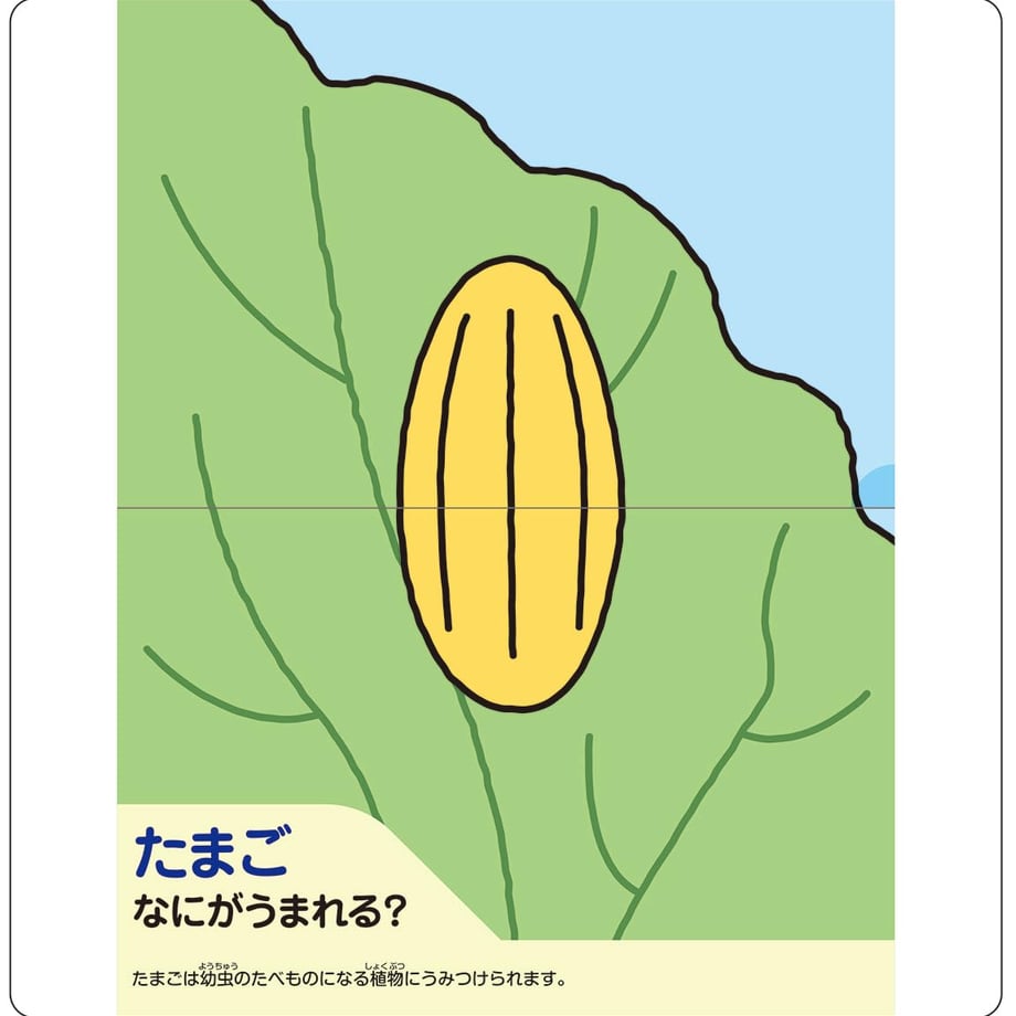 682accf3f6398e7ffd18c29a