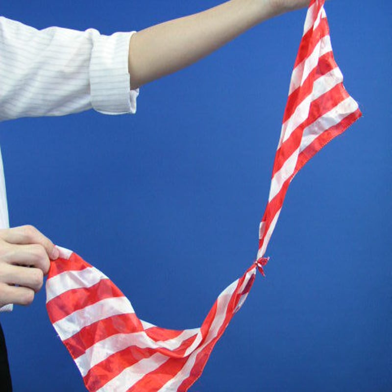 HEUGNハンカチ DOG RUN | H TOKYO ハンカチ | OLD-FASHIONED STORE