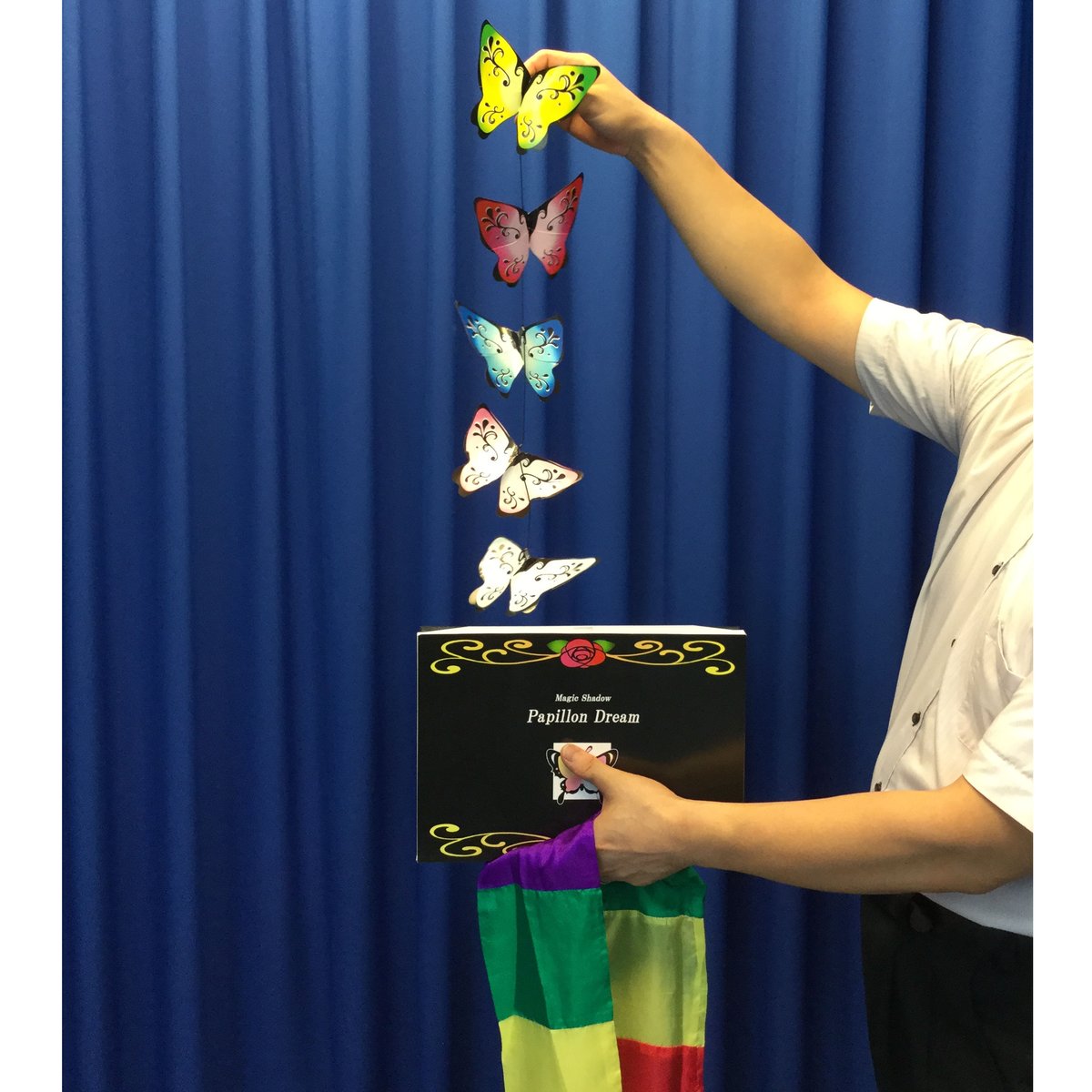 パピヨンドリームDX | UGMオンラインショップ