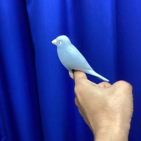 ラバーインコ