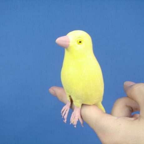 ラバーインコ