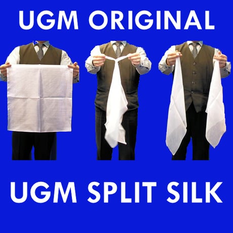UGM分裂シルク