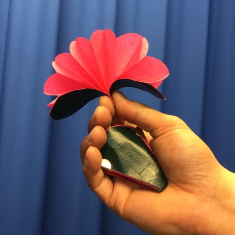 ミリフラホルダー