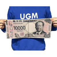 新一万円札シルク 小（ポリエステル）