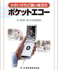 小さいけれど強い味方のポケットエコー