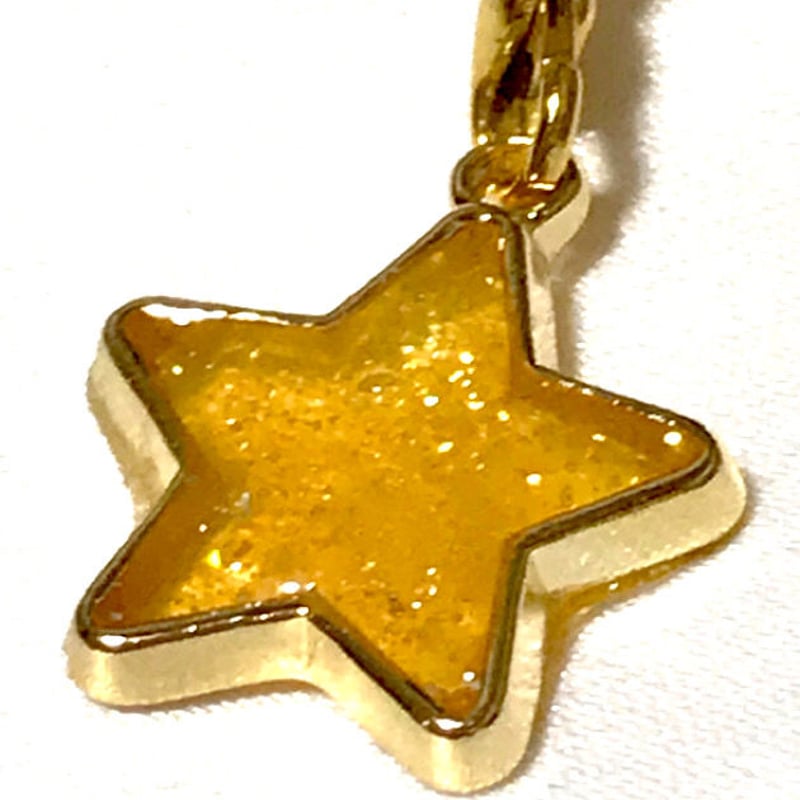 A*i様 stefan cooke ショルダーストラップ 星形 星型ウォレットチ STEFAN COOKE / ステファンクック】STAR STRAP | ジャーナル