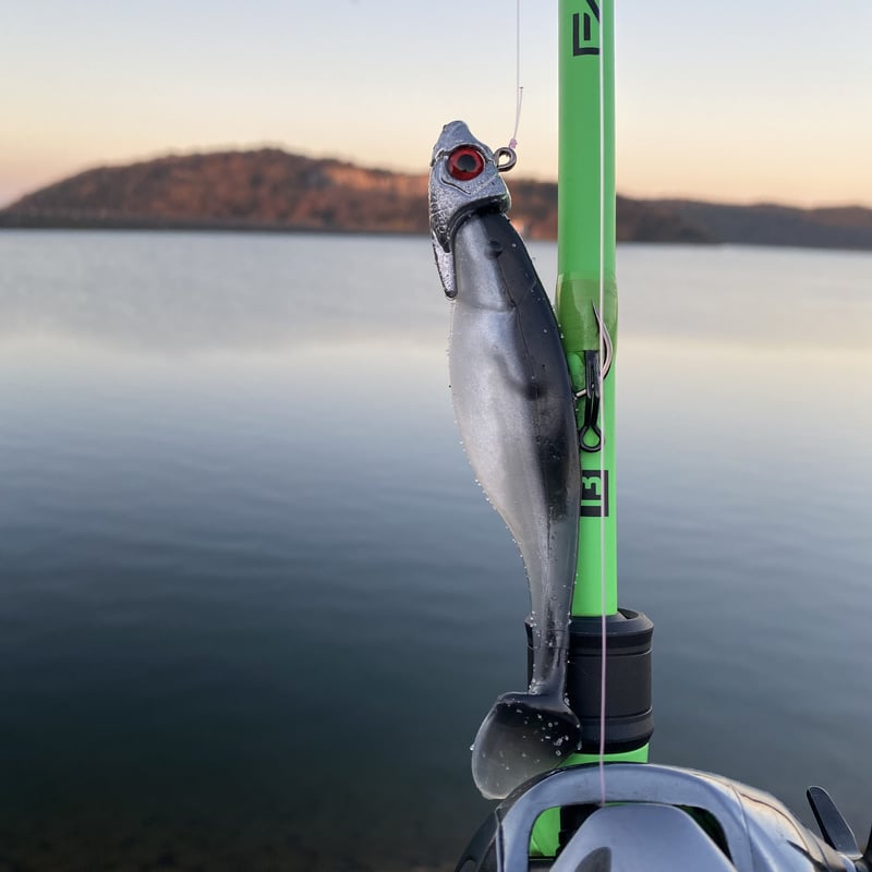 18g スイムベイトジグヘッド | SeizanSports