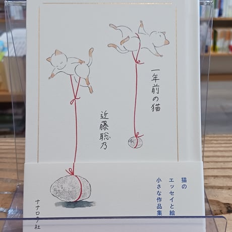 近藤聡乃 | STORES