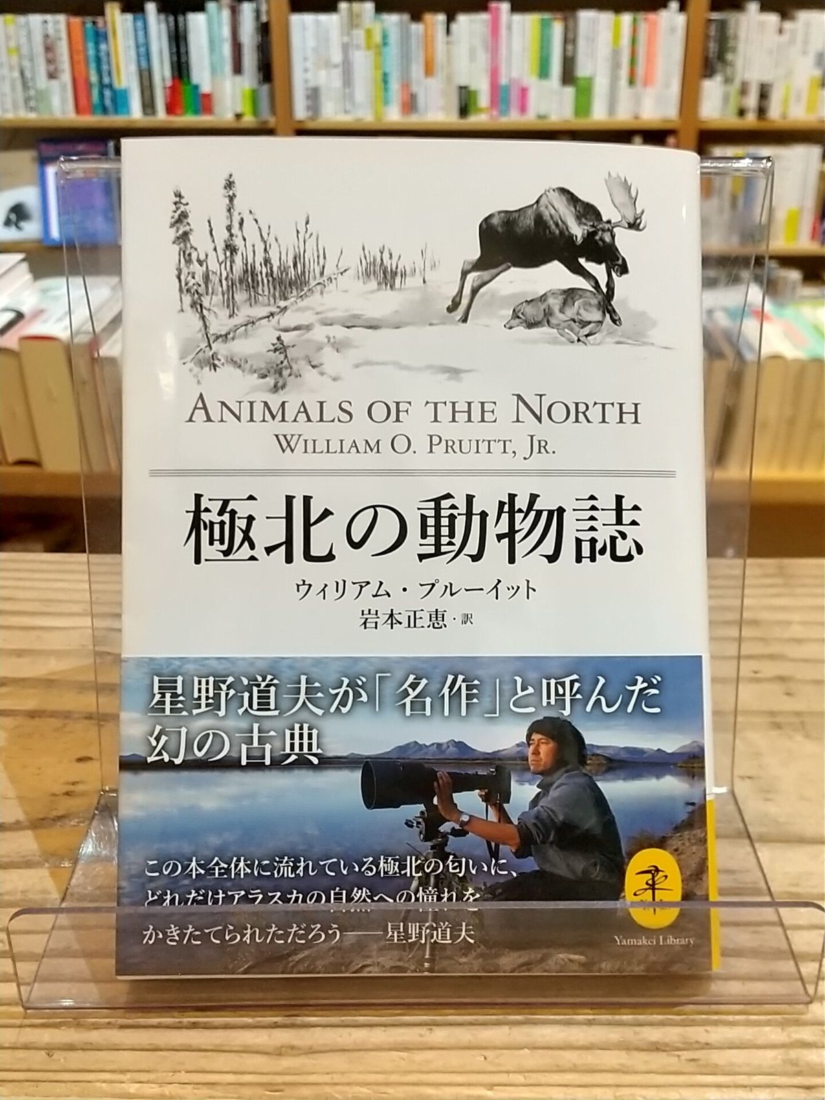 Shop　porvenirbookstore's　極北の動物誌　ヤマケイ文庫　Web