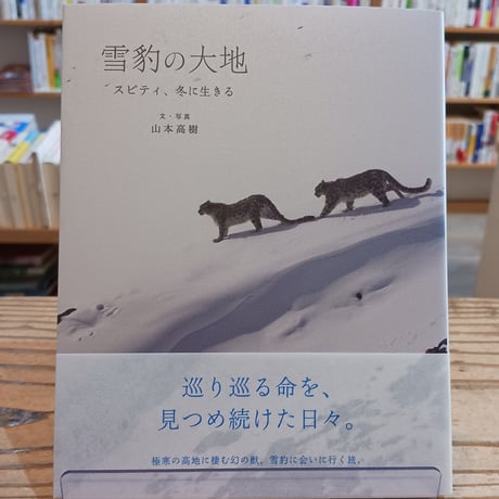【ポストカード・しおり付き】雪豹の大地 スピティ、冬に生きる