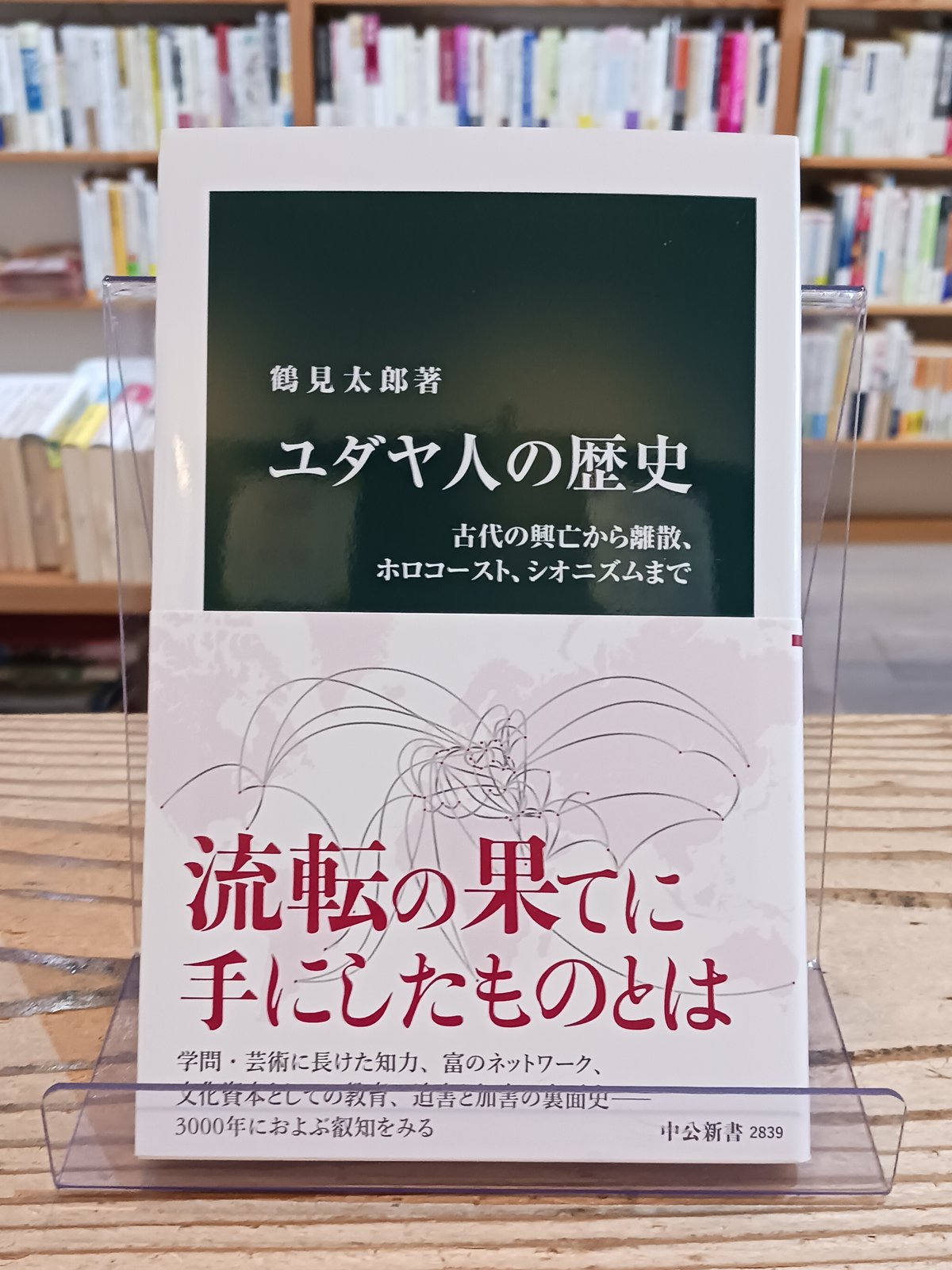ユダヤ人問題とシオニズムの歴史 ユダヤ人の歴史-古代の興亡から離散、ホロコースト、シオニズム