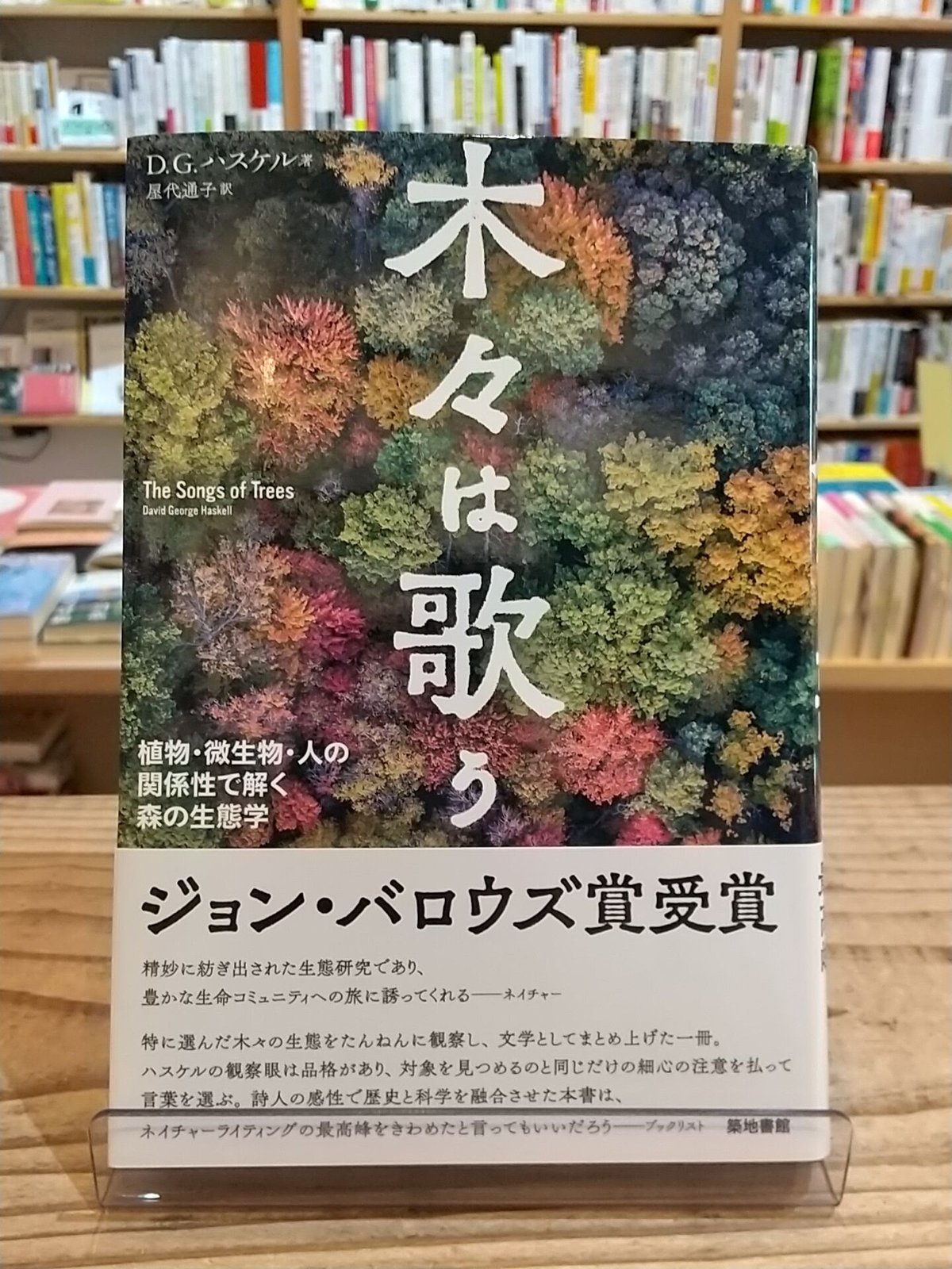 植物生態学論考 木々は歌う 植物・微生物・人の関係性で解く森の生態学