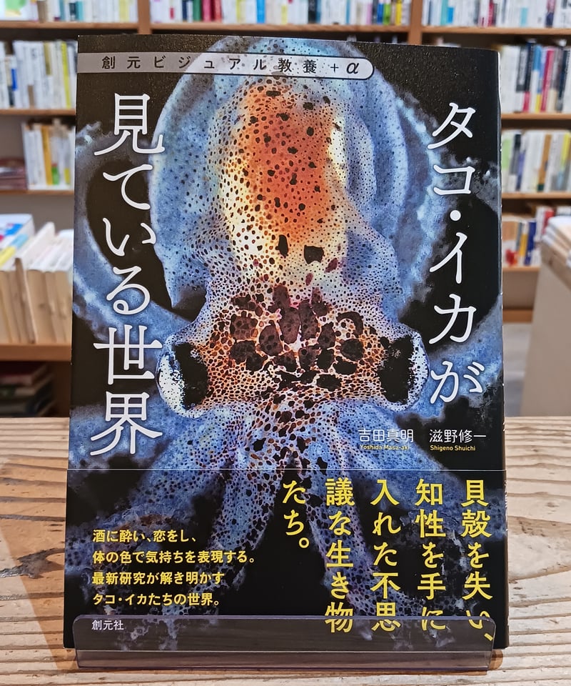 タコ・イカが見ている世界 | porvenirbookstore's Web Shop