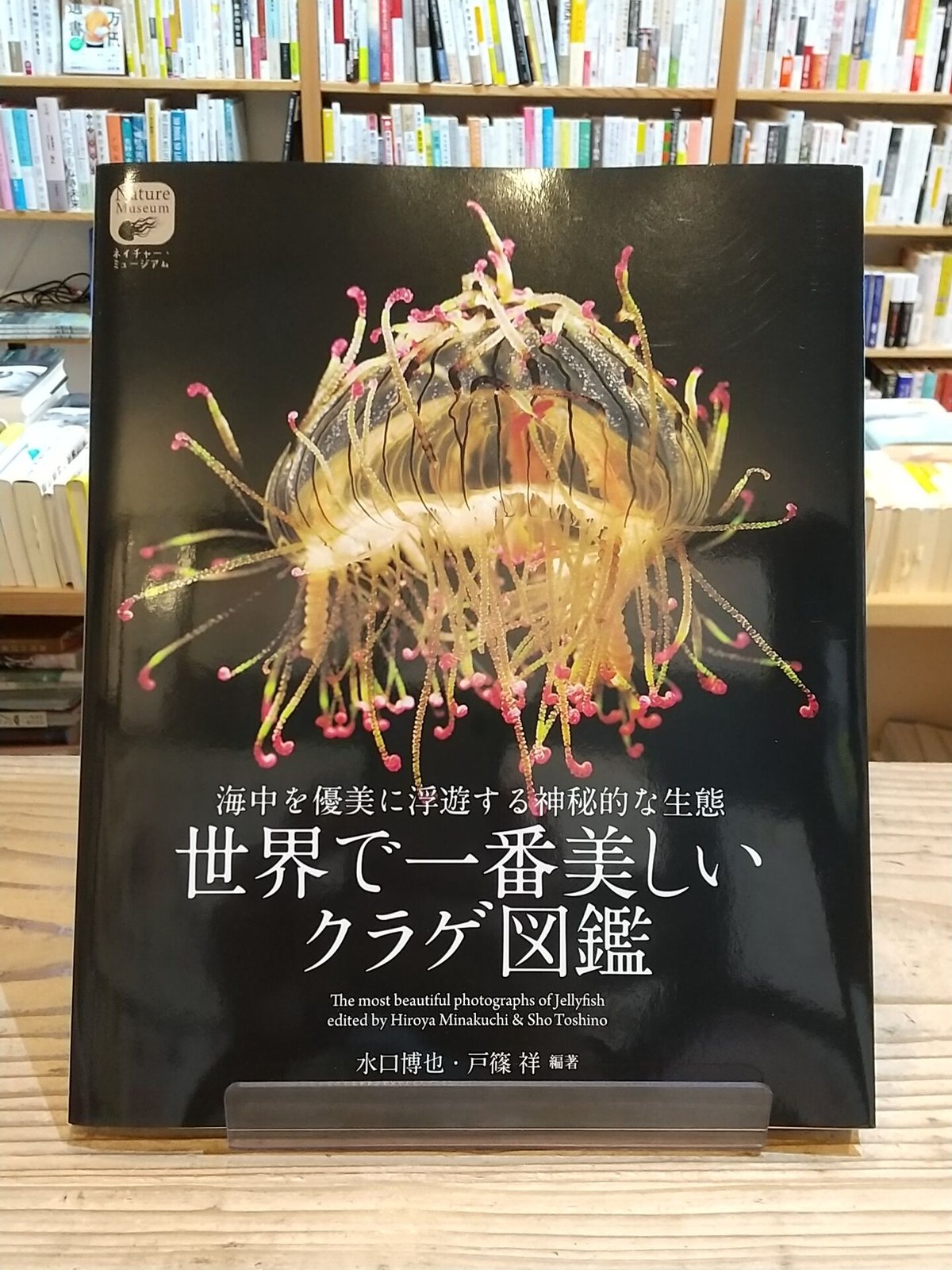 世界で一番美しいクラゲ図鑑 海中を優美に浮遊する神秘的な生態 世界で一番美しいクラゲ図鑑 海中を優美に浮遊する神秘的な生態
