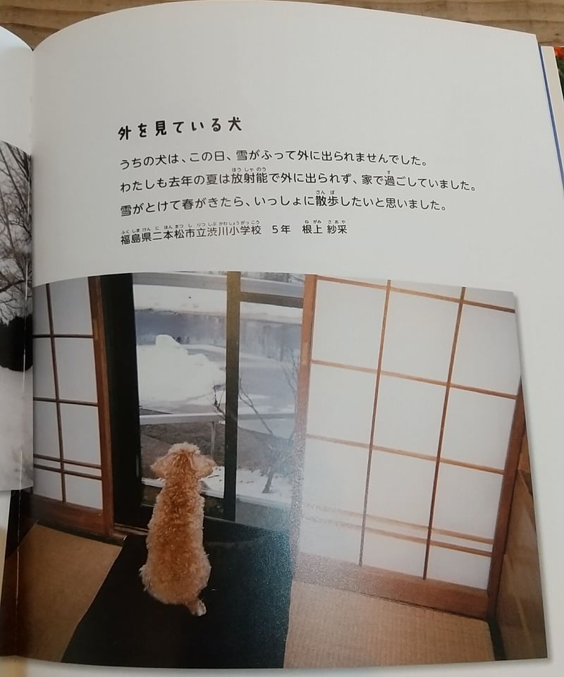 フクシマ 2011年3月11日から変わったくらし | porvenirbookstore's