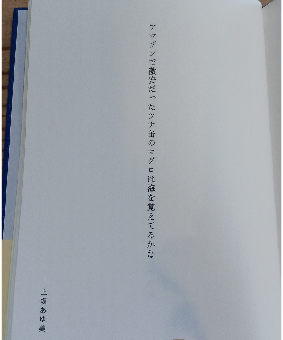 667fb5bfd70f8c276cb37507